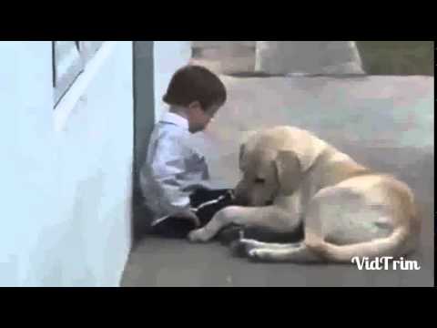 download lagu mp3 mp4 Srgio Lopes Quem Sabe Amar, download mp3 Srgio Lopes Quem Sabe Amar free download, download mp3 Srgio Lopes Quem Sabe Amar