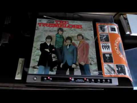 The Tremeloes  orig. LP Here Come The Tremeloes (review LP)