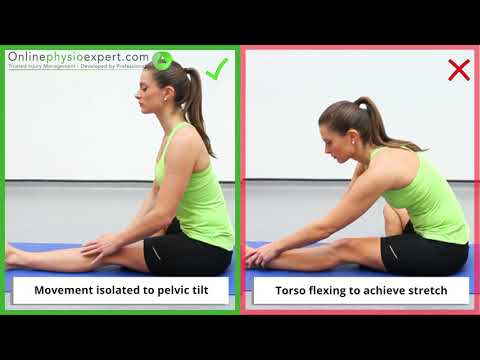 Long sitting hamstring muscle stretch L