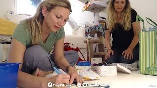 Chloe packs her tiny suitcase and goes home!  TinyKittens.com