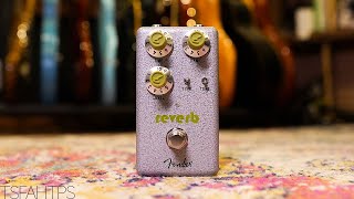 Video thumbnail for Fender HammerTone Reverb by TheSuperFunAwesomeHappyTimePedalShow