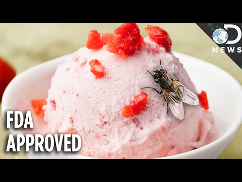 There Are Bugs In Your Food! Here's Why You Shouldn't Panic