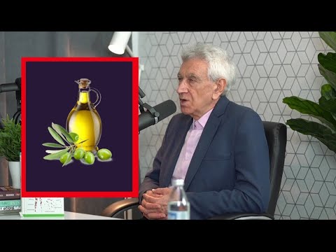 Prof. Dr Momcilo Matic ~ Uticaj masnoca na zdravlje jetre