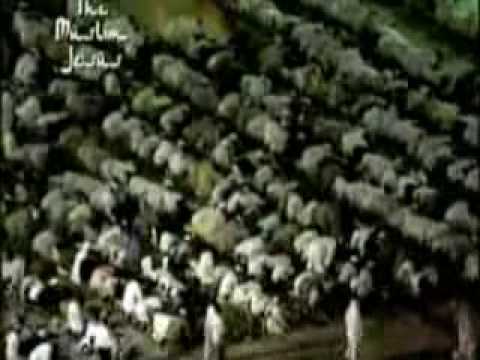 Dissecting the Divine Book pt  1