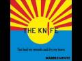 The Knife - Marble House + Lyrics 