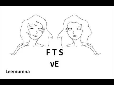 Mike T feat Rawanne Feel The Sound Extended