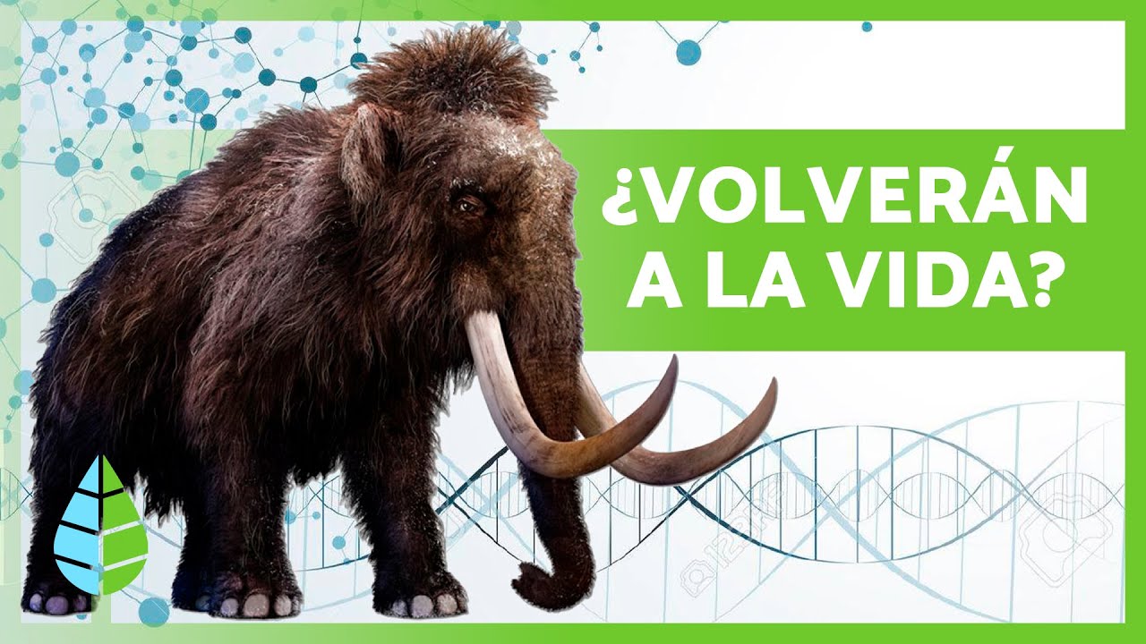 5 ANIMALES EXTINTOS que pueden VOLVER a la VIDA muy pronto 🦣🦤 ¿Los Científicos los van a Revivir?