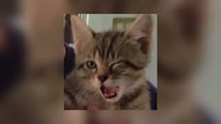 Download lagu SleeQ, Joe Flizzow - Tepi Sikit Sped Up mp3