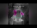 Alok & Zafrir - Vale vale (Extended mix)