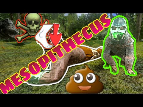 mesopithecus ¿realmente solo un acompañante? datos q quizás no conocías ark mobile