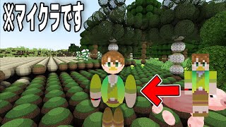 【マイクラ】丸くなったブロック（？）を見にいってみる【よっぴ～】