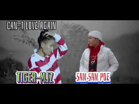 TIGER-MJZ (CAN_T LOVE AGAIN) SAN SAN POE