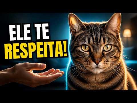 Gatos Respeitam Tutores Que Fazem ISSO Todos os Dias! 8 Atitudes Que FAZEM a DIFERENÇA