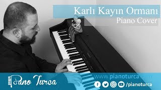 Karlı Kayın Ormanı Piyano Cover