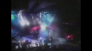 Steve Winwood - Back In The High Life Again (Live)