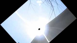 My sunny Michigan weather