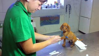 Miniature vidéo