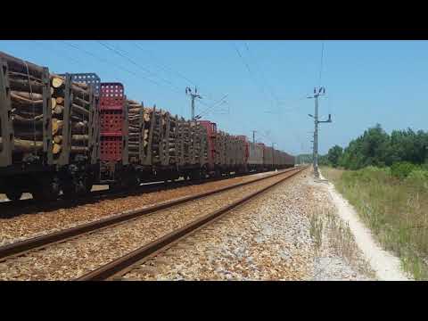 Comboio de Madeira n.º 65382/3 - Águas de Moura