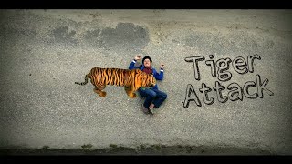 Tiger Attack  Short Video  Green Screen Animation 