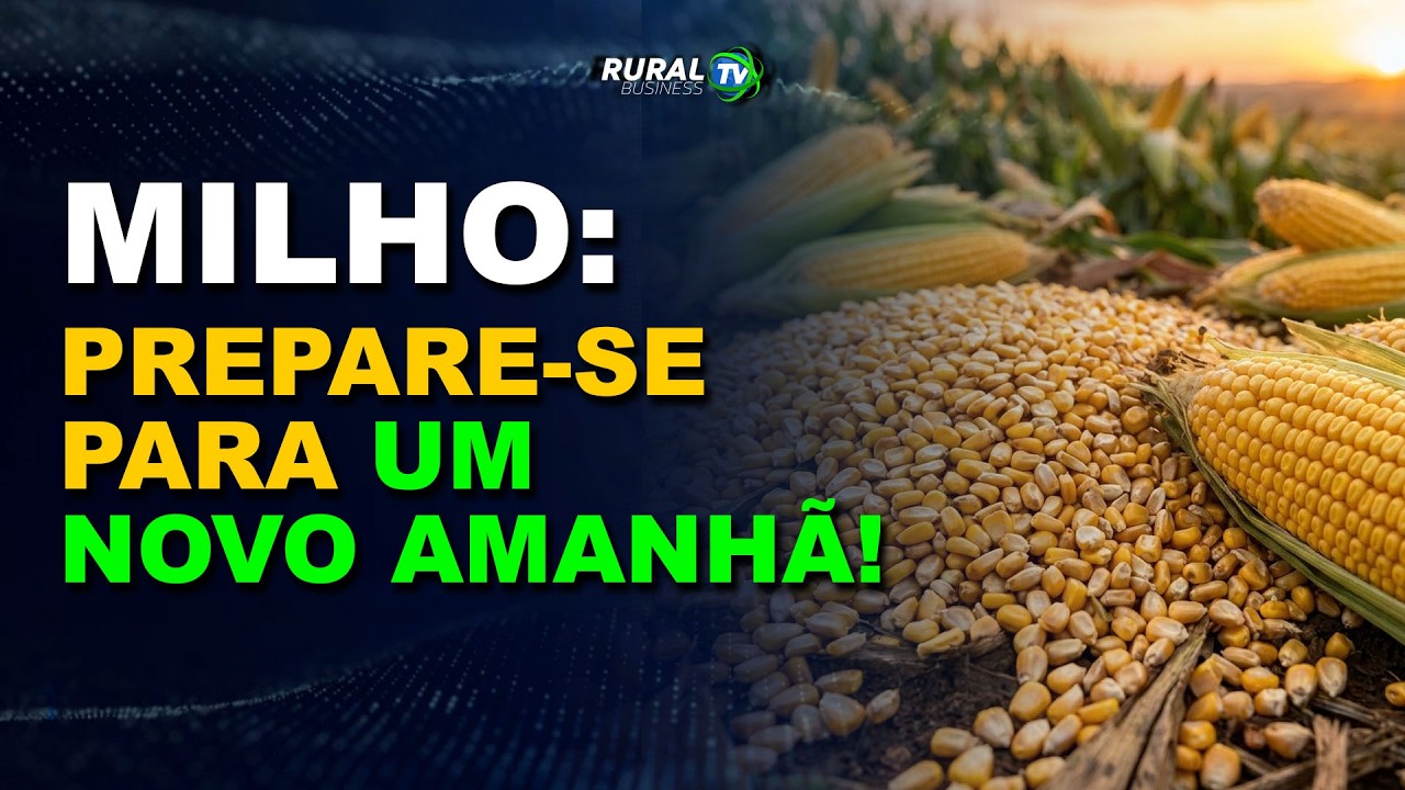 MILHO: PREPARE-SE PARA UM NOVO AMANHÃ!