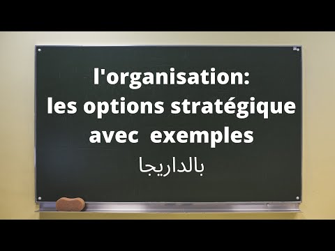 BAC ECO: EP08L'ORGANISATION,(les options stratégiques) بالداريجا