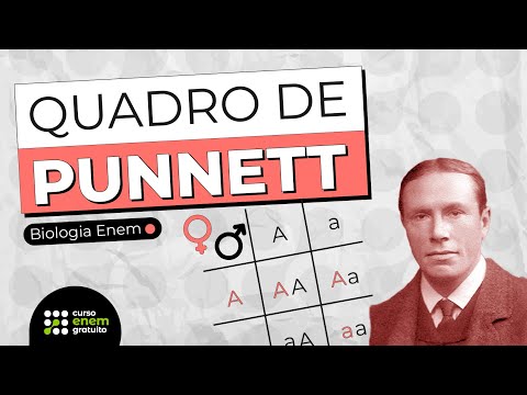 PUNNETT SQUARE | Biology Summary for the Enem