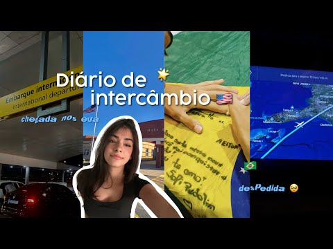 DIÁRIO DE INTERCÂMBIO EUA #1 despedida + chegada aqui! 🇺🇸
