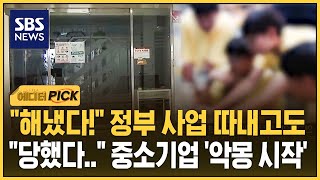해냈다! 정부 사업 따내고도..당했다 중소기업 '악몽 시작' (에디터픽) / SBS