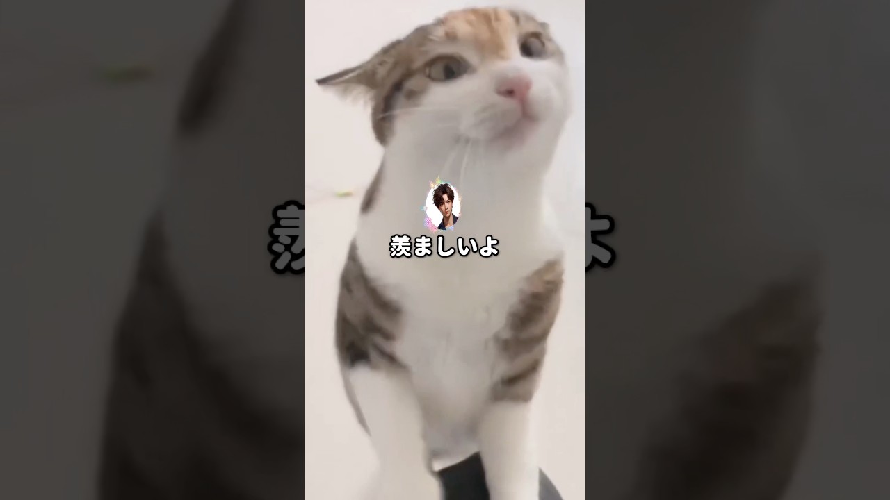 【ジョーク】太陽みたいなヤツ