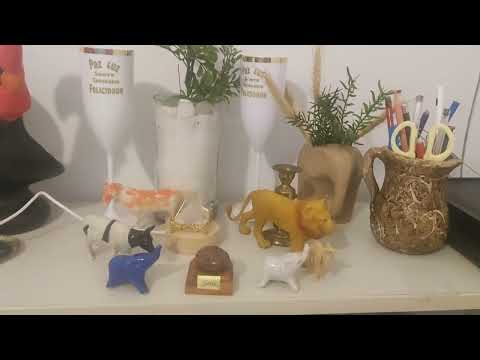 Palpites Sônia Santos p/ JB 22/11/25. 