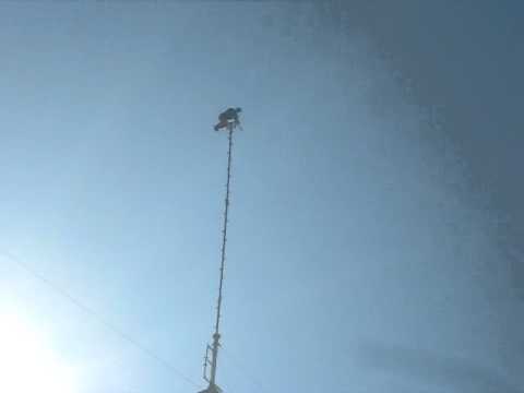 Traber Show in Ludwigshafen