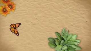 Bible Dream Interpretation Done By Real Psychic Christians