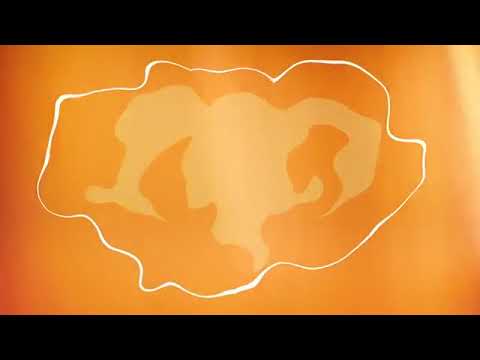 ZC KORE001 - BangBass - Spaghetti Cowboy - White Cyclus IV EP - Zodiak Commune Records KORE