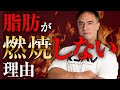 【ダイエット】知らないとやばい!余計な脂肪を燃焼させるためのトレーニングと食事のポイント【筋トレ】