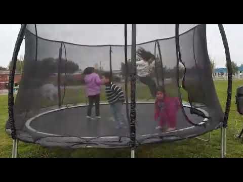 Salta,salta,salta pequeña langosta .