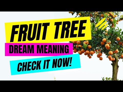 FRUIT TREE  Dream Meaning and Dream Interpretation