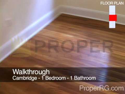 Boston Apartment For Rent - Chauncy St. in Cambridge - 1 Bedroom