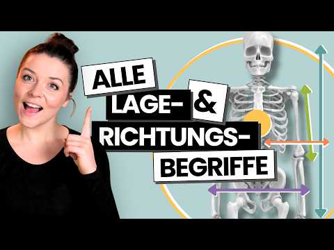 Orientierung in Anatomie & Medizin - Lage & Richtungsbezeichnungen einfach erklärt