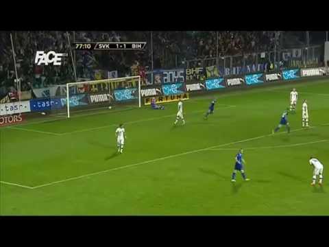 Izet Hajrovic Gol - Bih & Slovakia