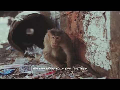 Viito - QUANTO TEMPO CI RESTA (visual)