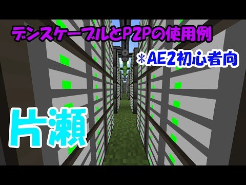 ANTs P2Pについて詳しく解説