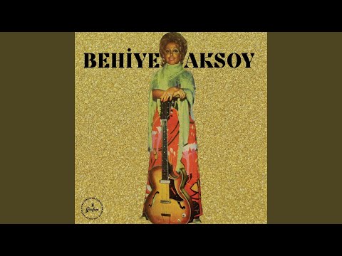 Ben Seni Unutmak İçin Sevmedim