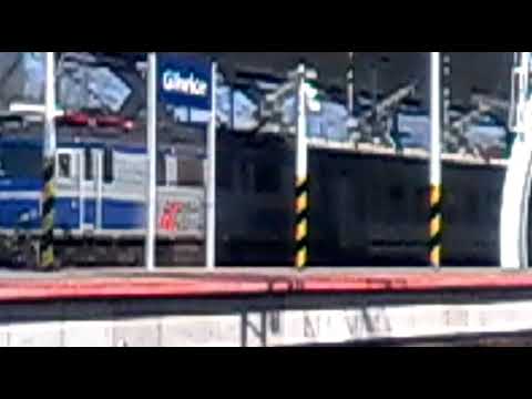 Kolejni kibice (2017)