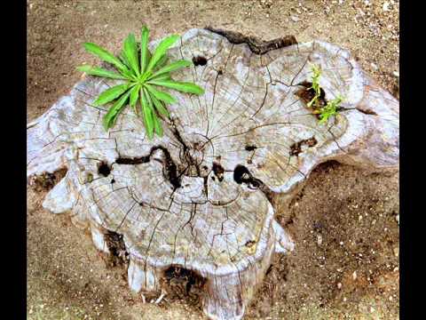 о. Александр Мень "Тайна зла" 1990  MrMirMart