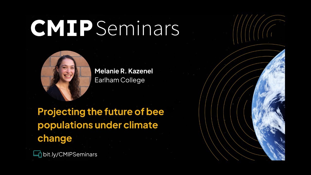 Projecting the future of bee popultations under cliamte change