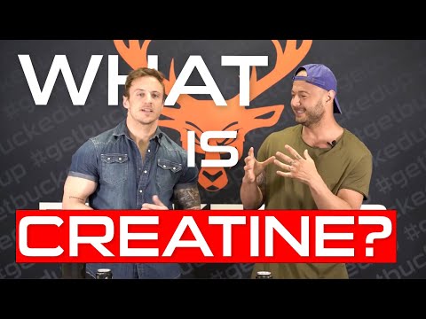 What is Creatine? | How Creatine is Made and What it Does For You