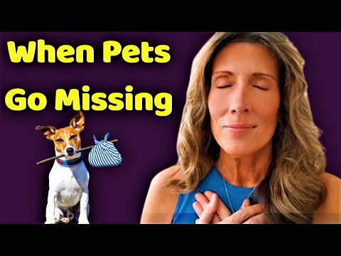 When Dogs and Cats Go Missing