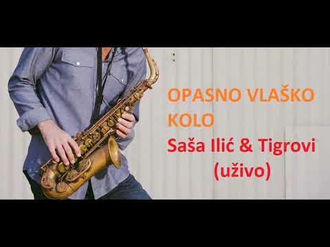 OPASNO VLASKO KOLO - SASA SAX ILIC & TIGROVI (uzivo)