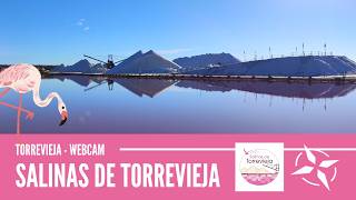 Salinas de Torrevieja - Webcam de Torrevieja live webcam