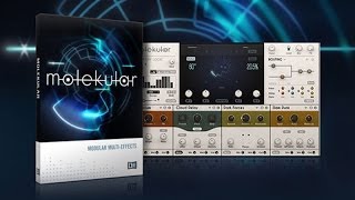 Video thumbnail for MOLEKULAR Native Instruments - First Look by Sonic Academy